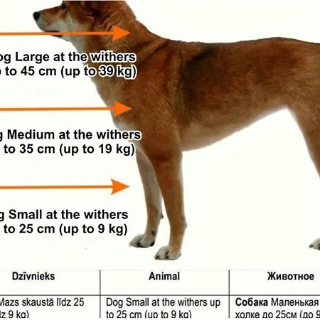 Апартаменти Cozy Family Space