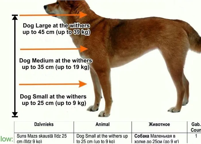 Dzīvoklis Cozy Family Space